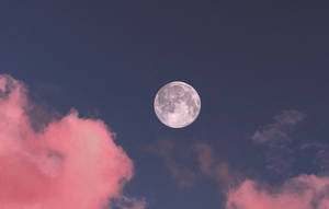 滿月在暮色天空中從粉紅色雲朵上方升起。 — 月亮 壁紙