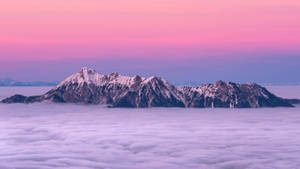 日出時，白雪覆蓋的山峰從雲海中浮現。