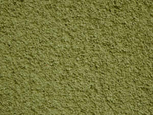 橄欖綠色紋理牆面嘅特寫。 — 綠色動態圖 壁紙