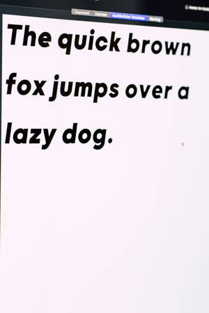 電腦螢幕顯示全字母句「The quick brown fox jumps over a lazy dog」，以粗體黑色文字呈現。