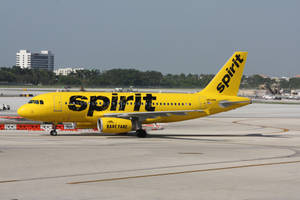 黃色Spirit Airlines飛機在機場停機坪上，背景有棕櫚樹和建築物。