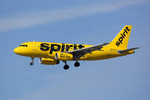 黃色Spirit Airlines飛機放下起落架在藍天中飛行。
