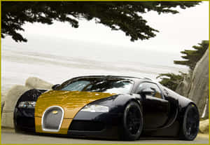 黑色和金色的Bugatti Veyron停泊在樹枝下的海邊。