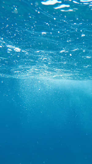 陽光穿過碧綠的海水，氣泡向上升至水面。
