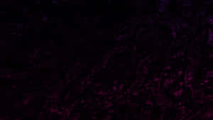 柔軟深紫色天鵝絨布料的特寫，帶有細微光澤。 — 深紫色美學 GIF 壁紙