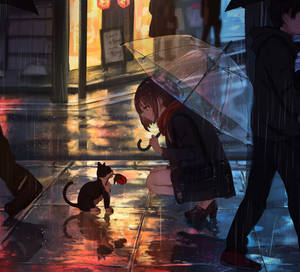 撐傘的女孩跪在拿著玫瑰的貓旁邊，在雨中的霓虹燈街道上。 — 動漫女孩 壁紙