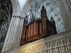 哥德式大教堂中的大型木製管風琴，配有拱形石天花和金色裝飾。