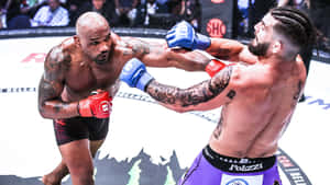 兩名男性MMA拳手在八角鐵籠內戰鬥。 — 動漫打鬥 壁紙