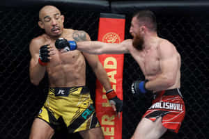 兩名MMA鬥士在八角籠中，一人拳擊對方臉部。
