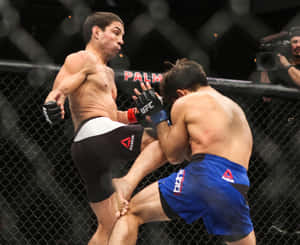 兩名男性MMA拳手在UFC八角籠內行動。