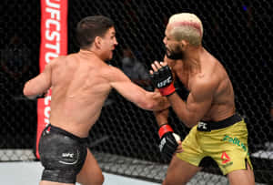兩名拳手在UFC八角籠比賽中互相出拳。