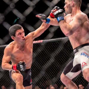 兩名男性MMA拳手在八角籠內互相出拳。 — 搏擊會 GIF 壁紙
