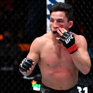 比賽期間，八角籠內一名滿臉鮮血的UFC拳手。