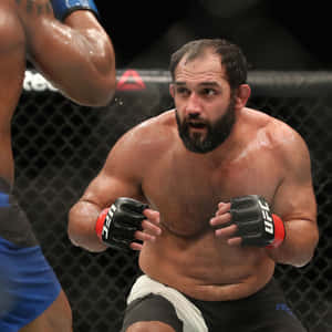 MMA拳手喺八角籠入面進行激烈比賽