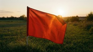 金色夕陽下田野中飄揚的紅旗