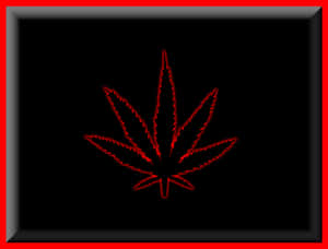 發光的紅色大麻葉在黑色背景上，以紅色和黑色邊框框起。