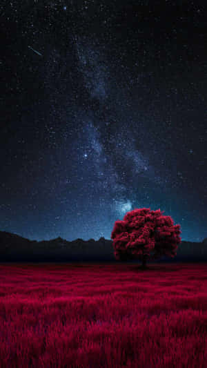 一棵紅色樹木在紅色田野上，星空夜空中有銀河。