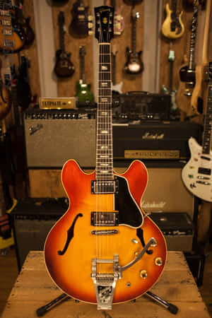 漸變色Gibson ES-335電結他在音樂店中展示，配有擴音器和其他結他。