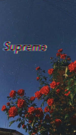 紅玫瑰在星空夜空中，帶有故障效果的Supreme標誌。