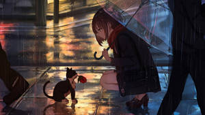 女孩與傘和貓在雨夜城市分享玫瑰。 — 動漫女孩 壁紙