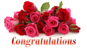 一束紅粉玫瑰，帶有「Congratulations」文字。