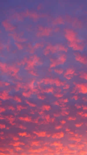 黃昏時分閃耀的戲劇性粉紅和紫色雲朵。 — 日落天空 壁紙