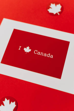 紅色卡片，白色文字 I heart Canada，紅色背景上有楓葉剪紙。 — 語錄 壁紙