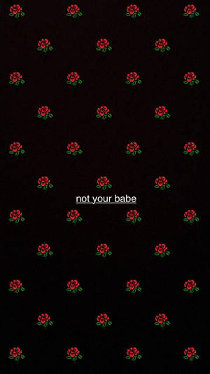 黑色背景上重複的像素玫瑰和中央文字 not your babe。