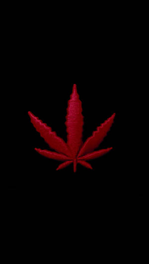 黑色背景上的紅色縫線大麻葉