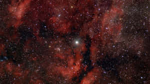 充滿星星的鮮紅色星雲在深空