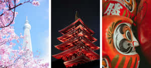 東京鐵塔與櫻花、夜晚的紅色寶塔和紅色達摩娃娃。 — 日式波浪 壁紙