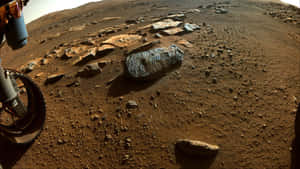 探測車車輪在紅色火星土壤上，散落岩石