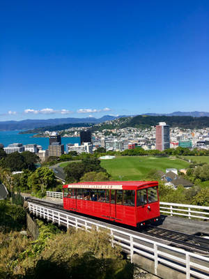 紅色纜車在高架軌道上，城市與海洋景觀
