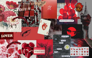 以紅色為主題的拼貼畫，包含罌粟花、書籍、心形和勵志名言。 — 紅色 壁紙