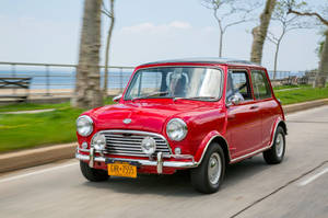 紅色經典Mini Cooper沿海邊道路行駛，背景有海洋和樹木。 — 汽車 壁紙
