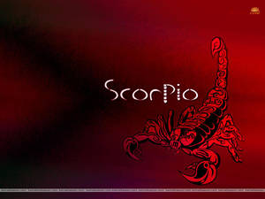 紅色華麗蠍子插圖，帶有'Scorpio'文字，背景為深紅色漸變。