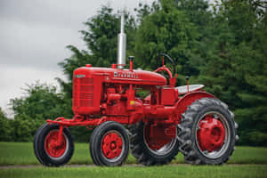 復古紅色 Farmall 拖拉機停在草地上，背景有樹木。 — 老福特貨車 壁紙