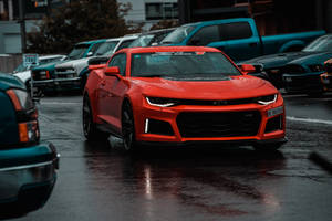 紅色雪佛蘭Camaro ZL1停放在城市停車場的潮濕瀝青上。
