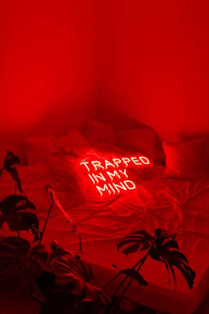 紅色照亮的床，帶有發光文字 trapped in my mind 和深色龜背竹植物。 — 霓虹 壁紙