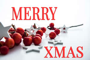 紅色冬青漿果和銀色星星，帶有「Merry Xmas」文字，用於節日裝飾。