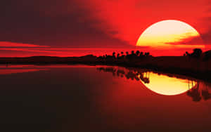 水面上的紅色夕陽，棕櫚樹剪影和天空倒影。
