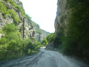 蜿蜒泥路穿過綠色峽谷，兩旁有懸崖