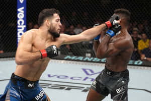 兩名男性MMA拳手在鐵籠內進行高強度比賽。