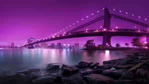 紫色燈光的吊橋，夜間水面與城市燈光。