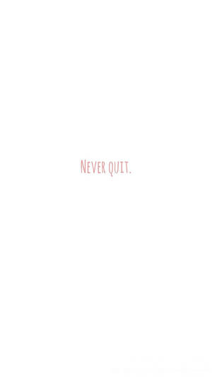 白色背景上的粉紅色勵志文字 never quit