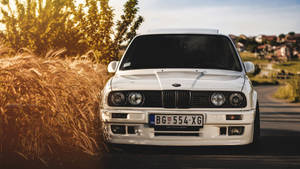 白色經典BMW E30停在日落時分的金色麥田旁。