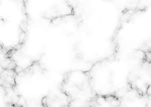 帶有黑色紋理的白色大理石，適合優雅設計 — 黑白美學 壁紙
