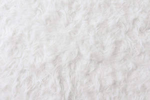fluffy 白色紋理地毯表面的特寫。 — 純白色 壁紙