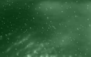 水下視角，氣泡在綠色水中上升
