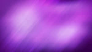 柔和的紫色漸變，帶有對角光線條紋，營造出平靜的抽象背景。